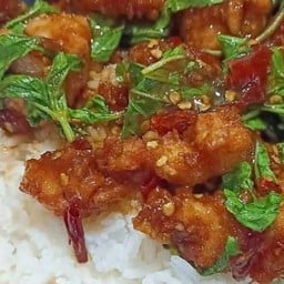 กระเพราเเท้ ใสยวน3