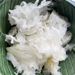เห็ดหูหนูขาว