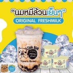 นมหมีปั่น SHA BEAR เขตสะพานสูง
