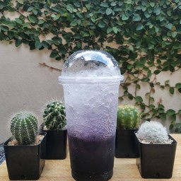 บลูเบอร์รี่  โซดา