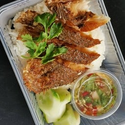 บ้านกินปลา