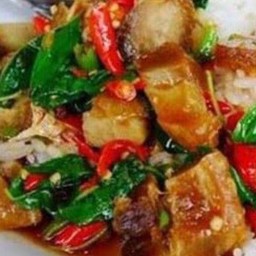 ข้าวกระเพราหมูกรอบ