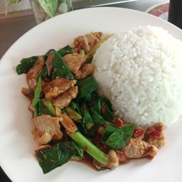 ข้าวคะน้าหมูชิ้น