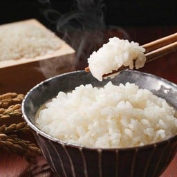 ข้าวญี่ปุ่น