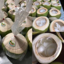 เจ้นกวุ้นมะพร้าว