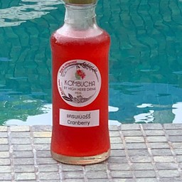 คอมบูชารสแครนเบอร์รี่  Cranberry Kombucha