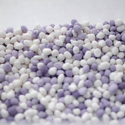 Cocomolley(โคโค่มอลลี่ย์ )