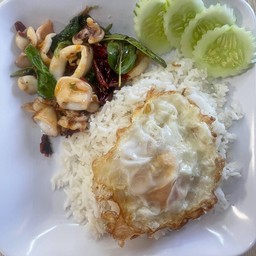 กระเพราหมึก ราดข้าว