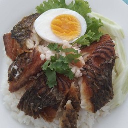 ข้าวปลานิลแกะ