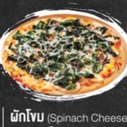 ผักโขมทูน่าชีส ( M ) ขนาด 7 นิ้ว 6 ชิ้น