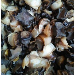 เพิ่มหอยเชอรี่