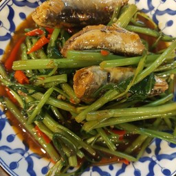 ผัดผักบุ้งปลากระป๋อง