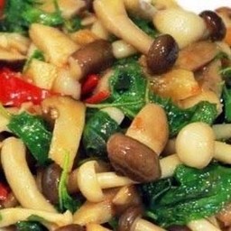 กระเพราเห็ดหน่อไม้(ไม่มีเนื้อสัตว์)