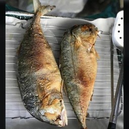 ปลาทูตัวกลาง(ตัวละ)