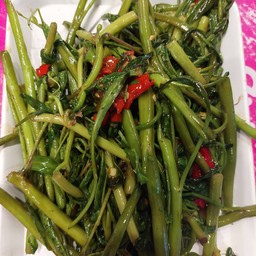 ผักบุ้งไฟแดง