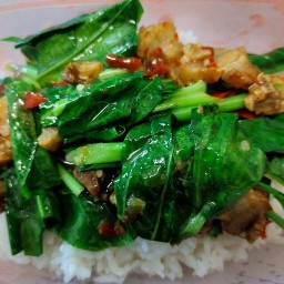 ต้อย ข้าวผัด กะเพราแซ่บ ร้านเบอร์16 ไม่มี