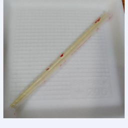 โฟม+ตะเกียบ