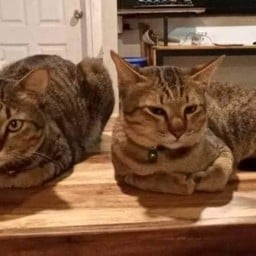 ทิปค่าขนมของพวกผมเองคร๊าบ(อนงค์,น้อย)