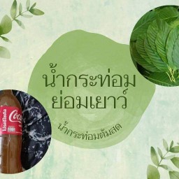 เจ้าเก่า  ย่อมเยาว์
