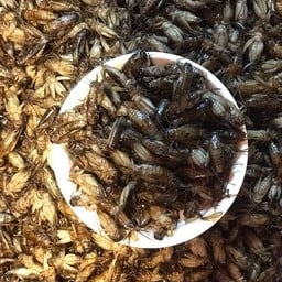 สะดิ้งไข่ ทอด