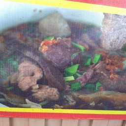 เตี๋ยว โคด หร่อย