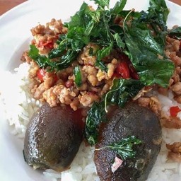 กระเพราไข่เหยี่ยวม้าราดข้าว