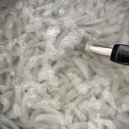 ลูกตาลเชื่อม