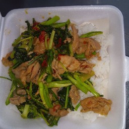 ผัดคะน้าหมูชิ้นหมูหมักราดขา้ว