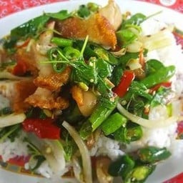 หมูกรอบผัดกะเพราราดข้าว