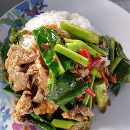 ข้าวราดคะน้าหมูชิ้น