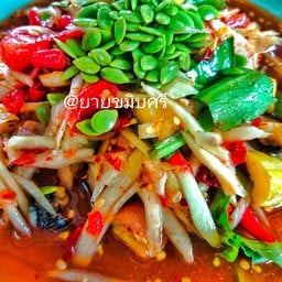 ตำป่า (ไม่รกมาก)