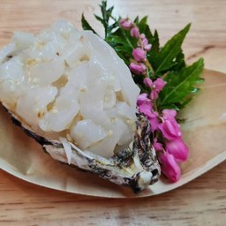 หมึกคลุกน้ำมันงา