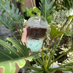 MOCHA MINT