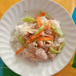 ผัดพริกอ่อนไก่ ราดข้าว