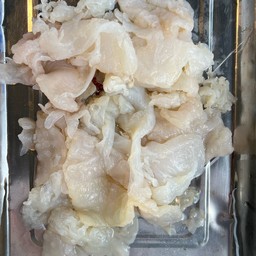 แมงกระพรุน