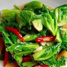 แขนงน้ำมันหอย