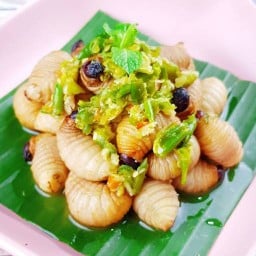ด้วงดุ๊กดุ๊ก
