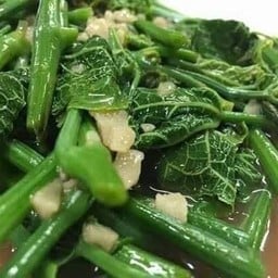 ข้าวราดแขนงน้ำมันหอย