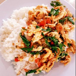 ข้าวกะเพราไก่
