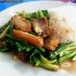 คะน้าหมูกรอบ(กับข้าว)