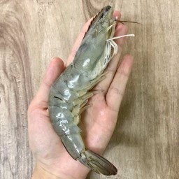 กุ้งอบวุ้นเส้น ข้าวไข่เจียว เพชรเกษม63