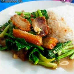 คะน้าหมูกรอบ(ราดข้าว)