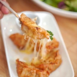 Gyoza cheese
