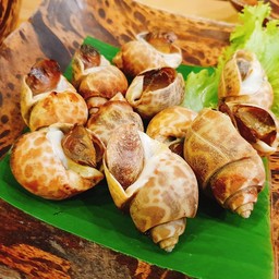 หอยหวาน ย่าง