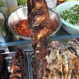 ปลาดุกย่าง