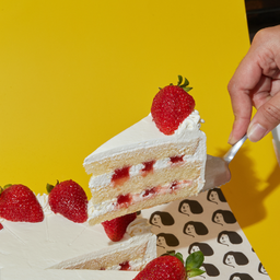 STRAWBERRY SHORTCAKE