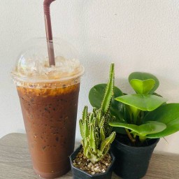 อุ๊ กาแฟโบราณ ถนนกลางเมือง หมู่บ้านยลภา