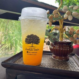 ส้มโซดา