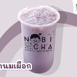 โนบิชา แสงปทุมพลาซ่า แสงปทุมพลาซ่า