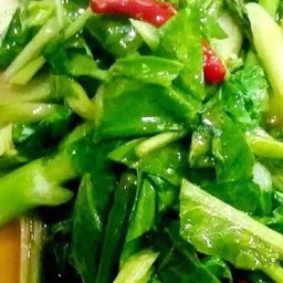 คะน้าน้ำมันหอย